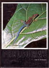 Phelsuma's by Herman Oostveen