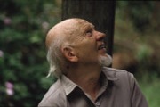 Harald Meier